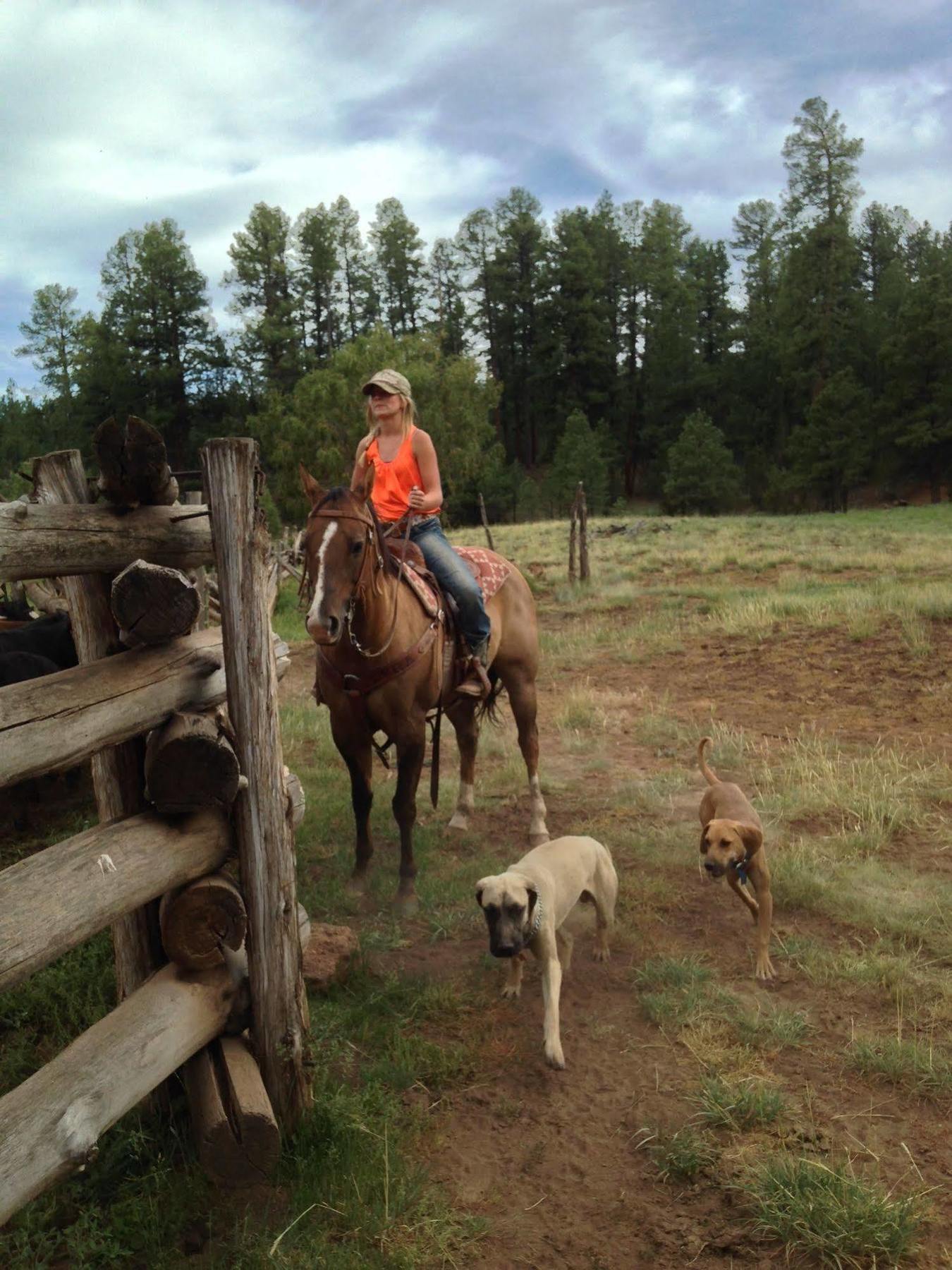 Grand Canyon Ranch & Outfitters Hotell Fredonia Eksteriør bilde