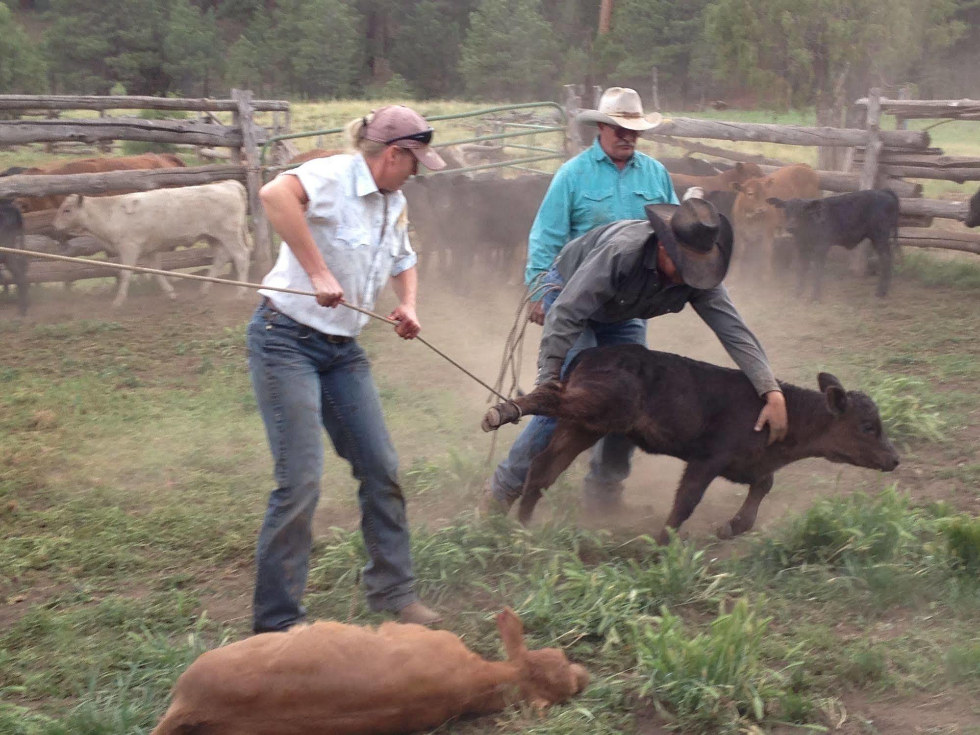 Grand Canyon Ranch & Outfitters Hotell Fredonia Eksteriør bilde